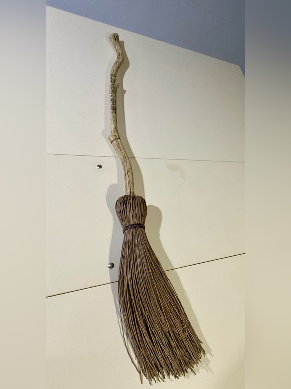 Hocus pocus broom